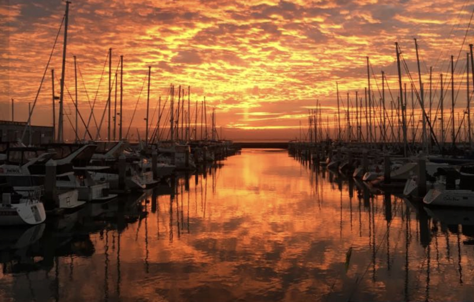 Sunset over the marina, masts silhouetted against orange sky